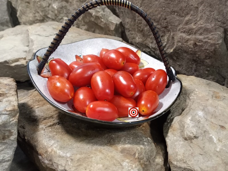 A Popular Red Tomato Elfin Tomato Seeds For Sale Here.