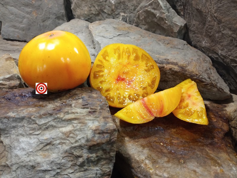 A Popular Yellow Tomato Dwarf Wherokowhai Tomato Seeds For Sale Here.