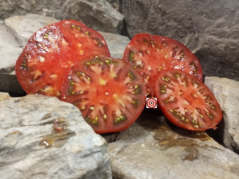 The Best Black Tomatoes Dwarf Sleeping Lady Tomato Seeds Available Here.