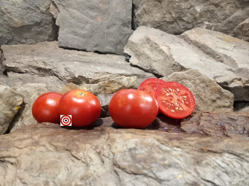 The Best Canning Tomato Dwarf Sub-Arctic Plenty Tomato Seeds Available Here.