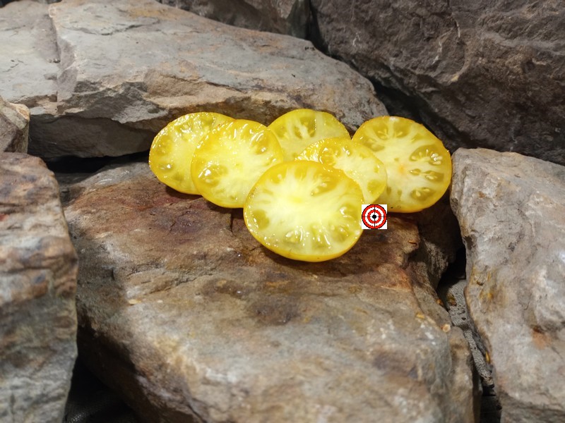 The Best Container Tomatoes Dwarf Yellow Brick Road Tomato Seeds Available Here.
