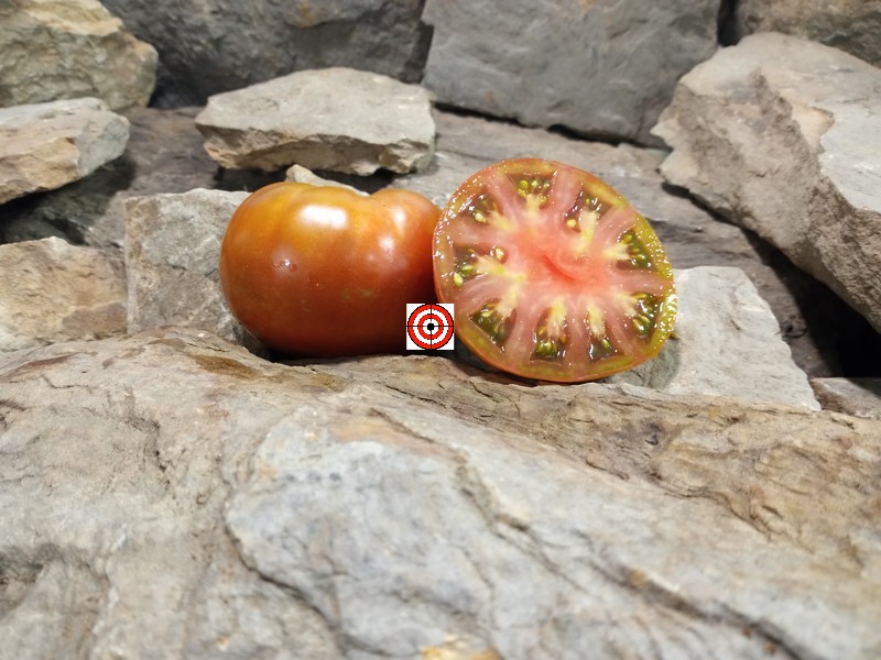The Best Container Tomatoes Vilk Dual Dwarf Tomato Seeds For Sale Here.