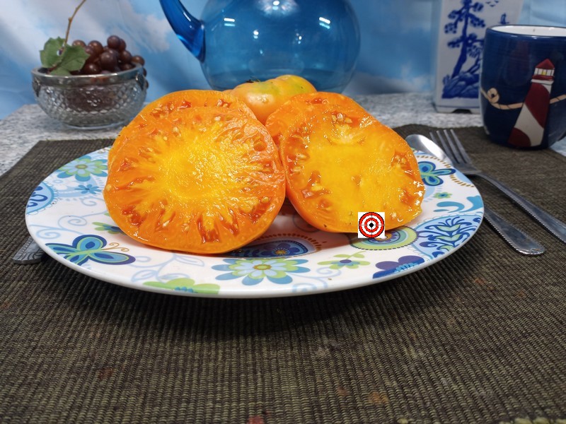 The Best Sandwich Tomato Elliot County Orange Tomato Seeds Available Here.