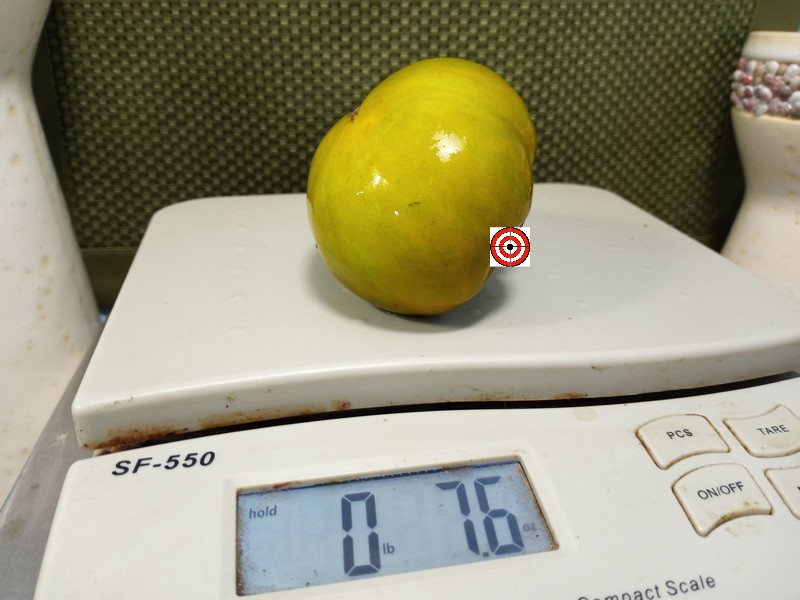 The Best Sandwich Tomato Evergreen Tomato Seeds Available Here.