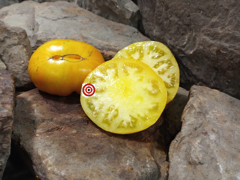 The Best Sandwich Tomato Fill Bottom Yellow Tomato Seeds Available Here.