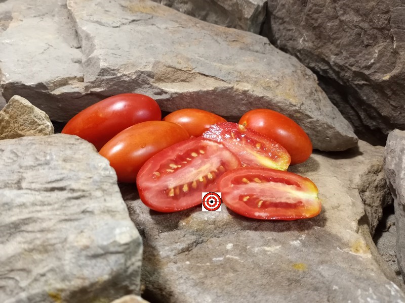 The Best Sauce Tomato Dwarf Zyska Tomato Seeds Available Here.