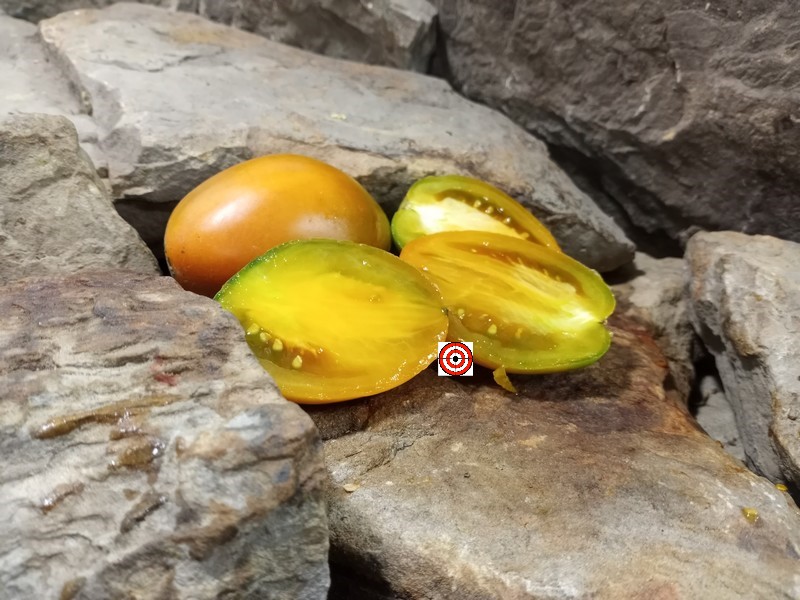 The Best Sauce Tomato Tiger Eye Dwarf Tomato Seeds Available Here.