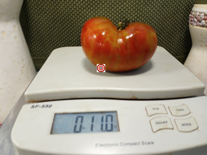 The Best Tasting Tomato Everetts Rusty Oxheart Tomato Seeds Available Here.