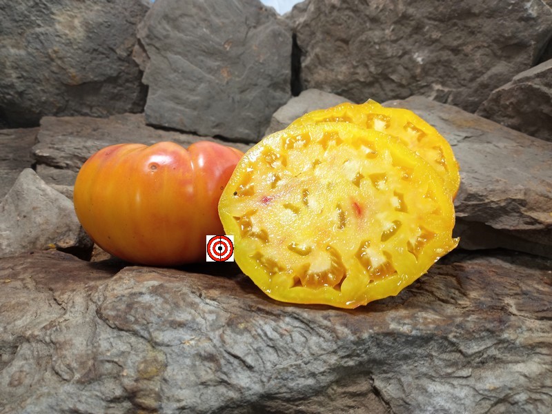 A Popular Beefsteak Tomato Georgia Streak Tomato Seeds For Sale here.