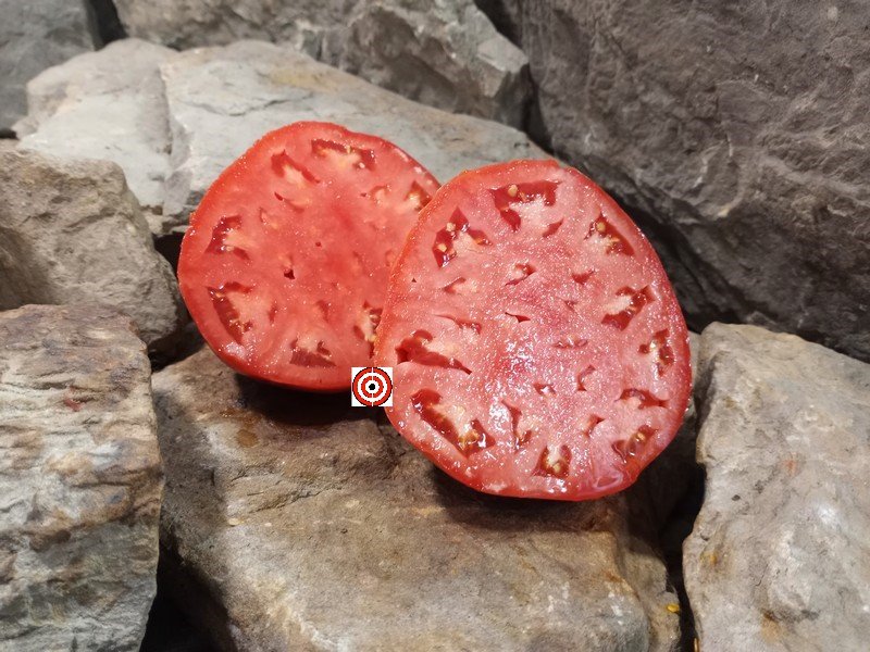 A Popular Giant Tomato Gopak Tomato Seeds For Sale Here.