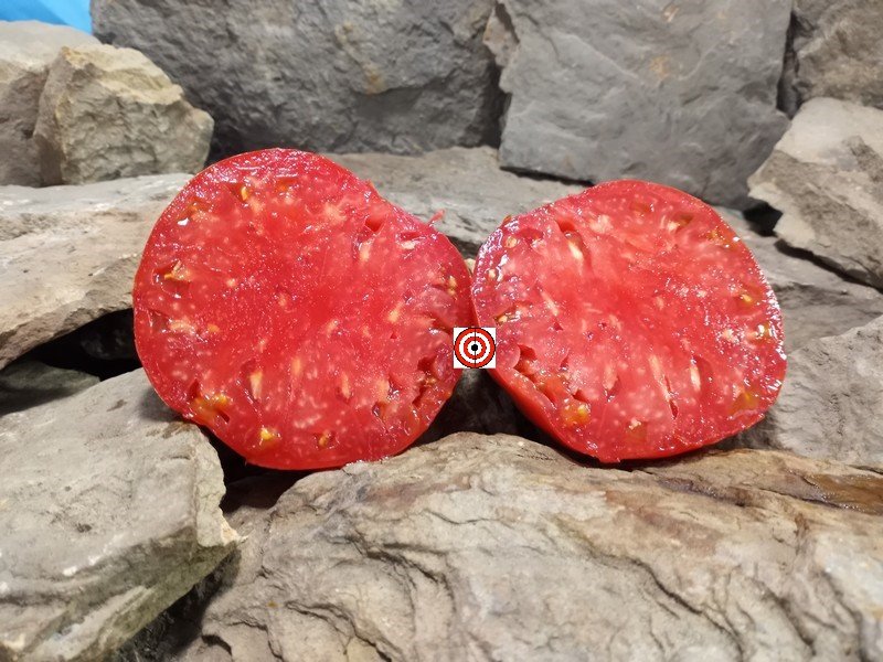 A Popular Heirloom Tomato Greek Big Red Tomato Seeds For Sale Here.