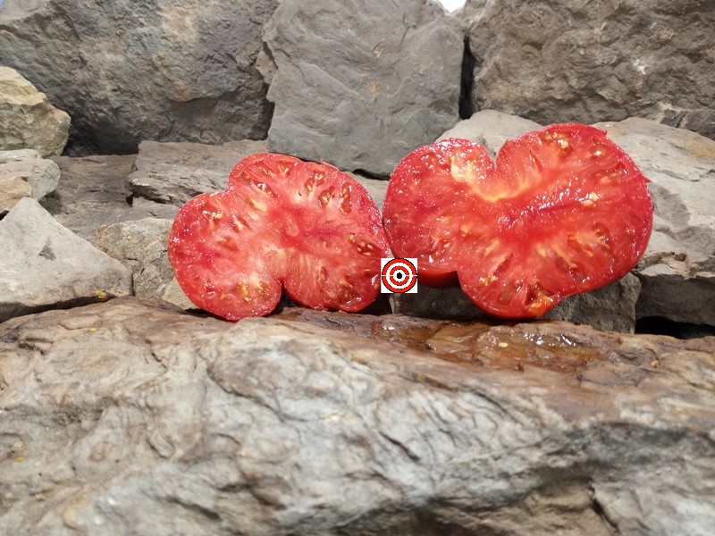 A Popular Rare Tomato Fish Point Slicer Tomato Seeds For Sale here.
