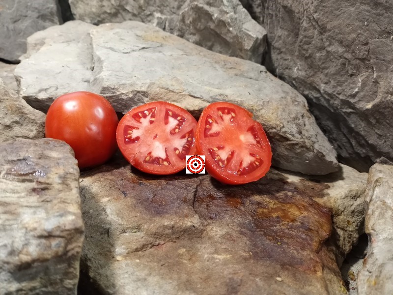 A Popular Red Tomato Fireworks Tomato Seeds For Sale Here.