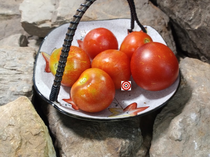 A Popular Red Tomato Fourth Of July F2 Tomato Seeds For Sale Here.