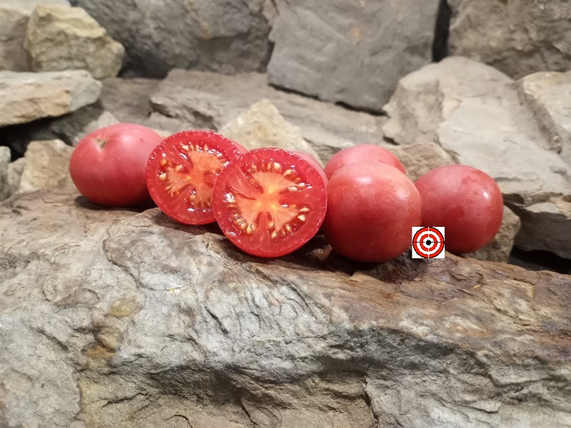 A Popular Red Tomato Fuzzy Rose Tomato Seeds For Sale Here.
