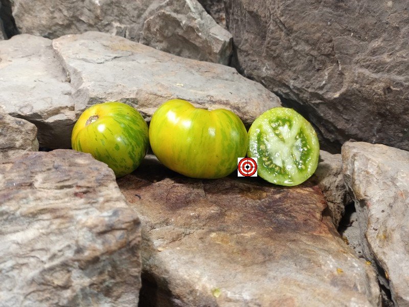 A Popular Salad Tomato Green Zebra Tomato Seeds For Sale Here.