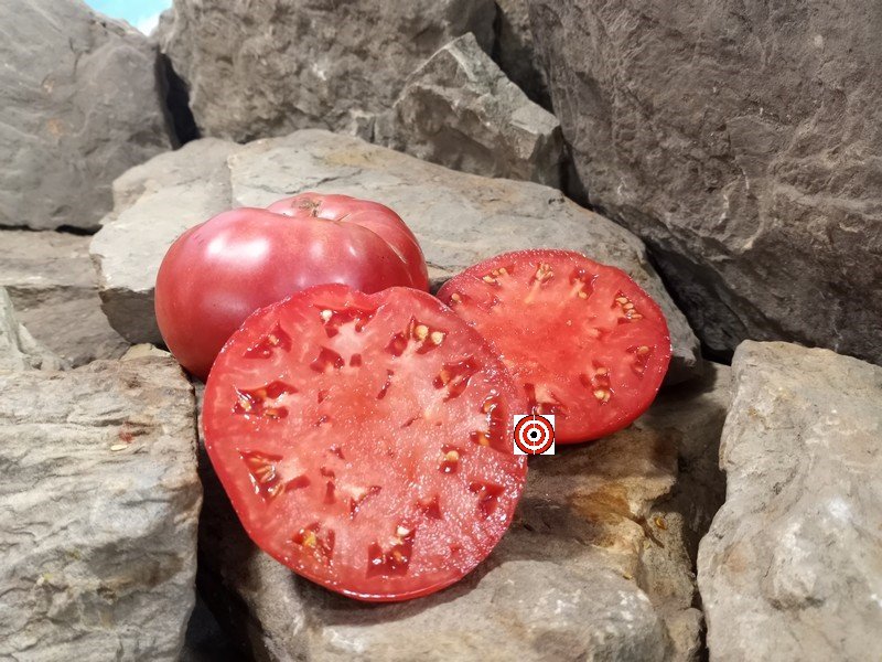 A Popular Sandwich Tomato German Johnson Tomato Seeds For Sale Here.