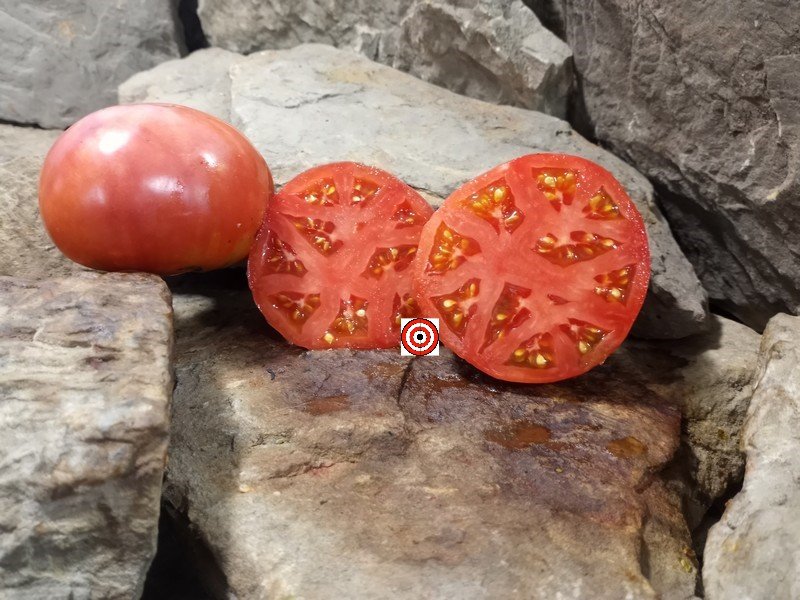 A Popular Sandwich Tomato Grandma Fitch Tomato Seeds For Sale Here.