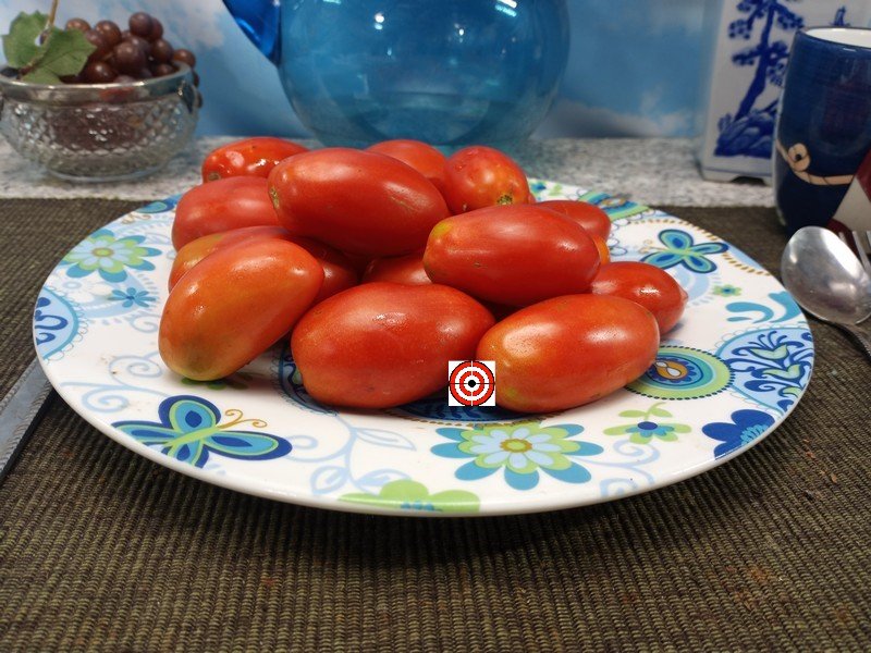 A Popular Sauce Tomato Ghittia Tomato Seeds For Sale Here.