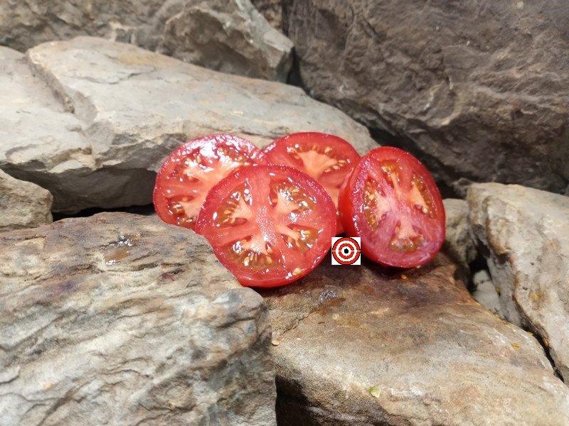 A Rare Tomato Gray Hawk Tomato Seeds For Sale Here.