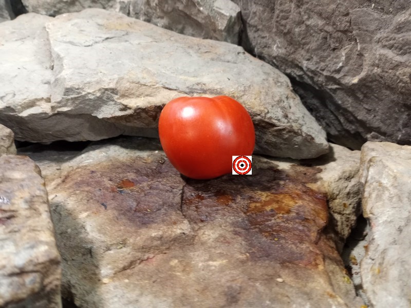 The Best Beefsteak Tomato Fireworks Tomato Seeds Available here.