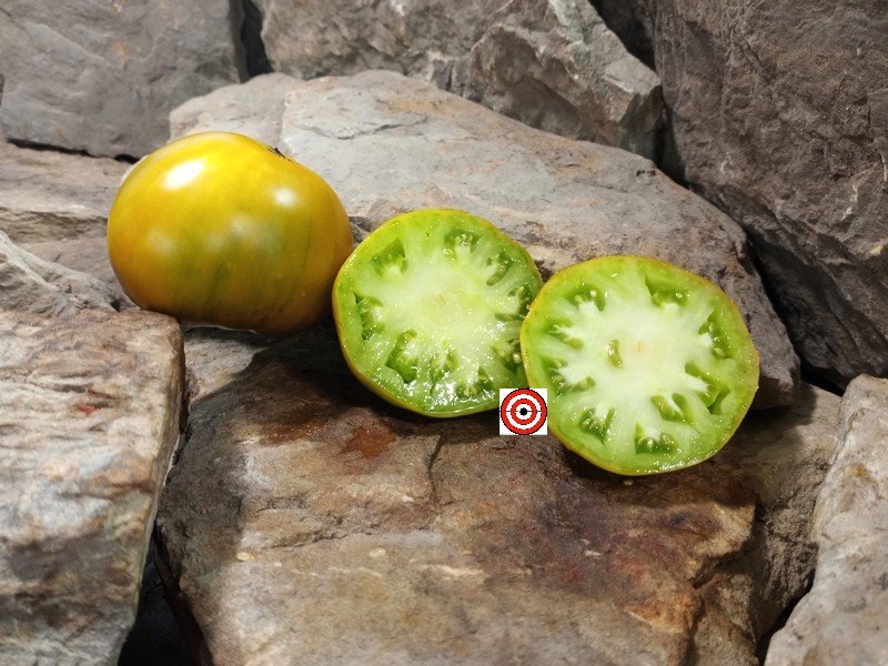 The Best Green Tomato Green Milo Tomato Seeds Available Here.