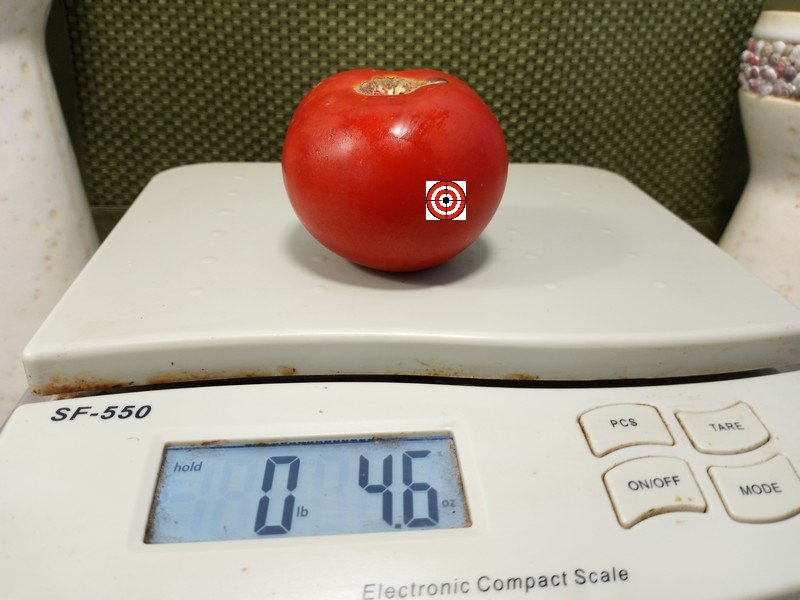 The Best Heirloom Tomato Gray Hawk Tomato Seeds Available Here.