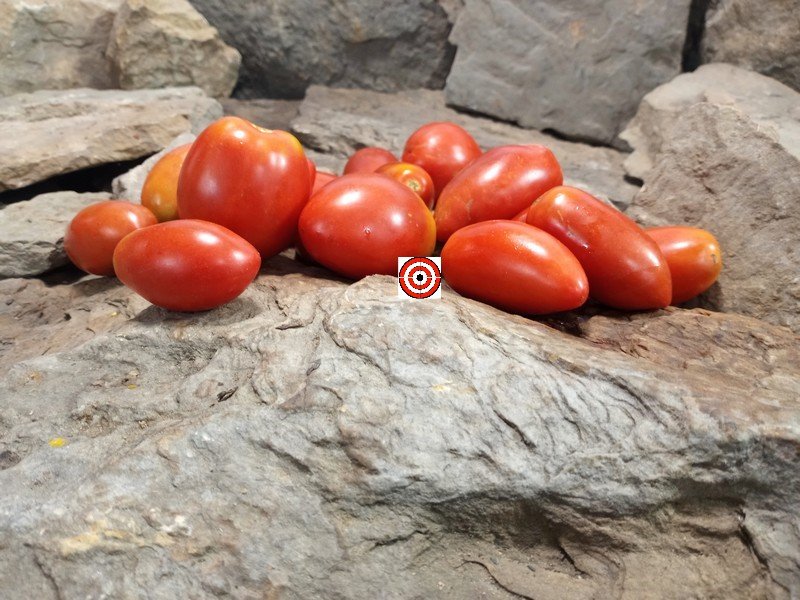 The Best Red Tomato Ghittia Tomato Seeds Available Here.