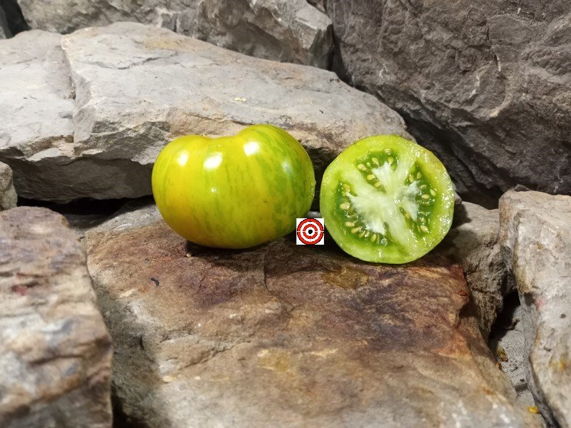 The Best Salsa Tomato Green Zebra Tomato Seeds Available Here.