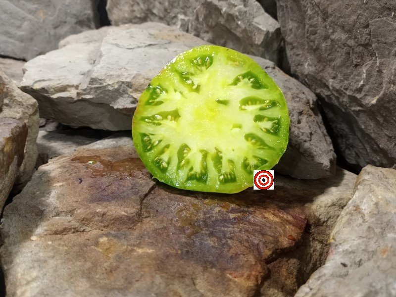 The Best Sandwich Tomato German Green Tomato Seeds Available Here.