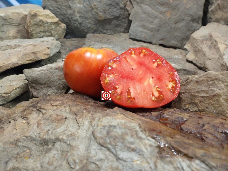 The Best Sandwich Tomato German Red Strawberry Tomato Seeds Available Here.