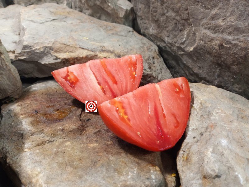 The Best Sandwich Tomato Gopak Tomato Seeds Available Here.