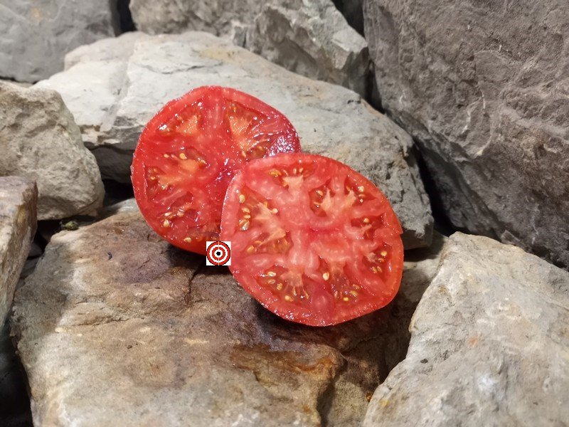 The Best Sandwich Tomato Grant County Pink Tomato Seeds Available Here.