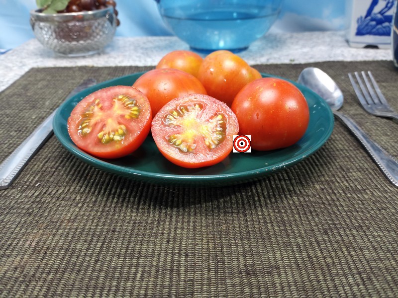 The Best Snacking Tomato Fourth Of July F2 Tomato Seeds Available Here.