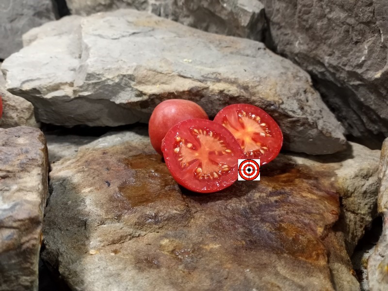 The Best Snacking Tomato Fuzzy Rose Tomato Seeds Available Here.