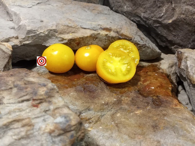 The Best Snacking Tomato Golden Sunburst Tomato Seeds Available Here.