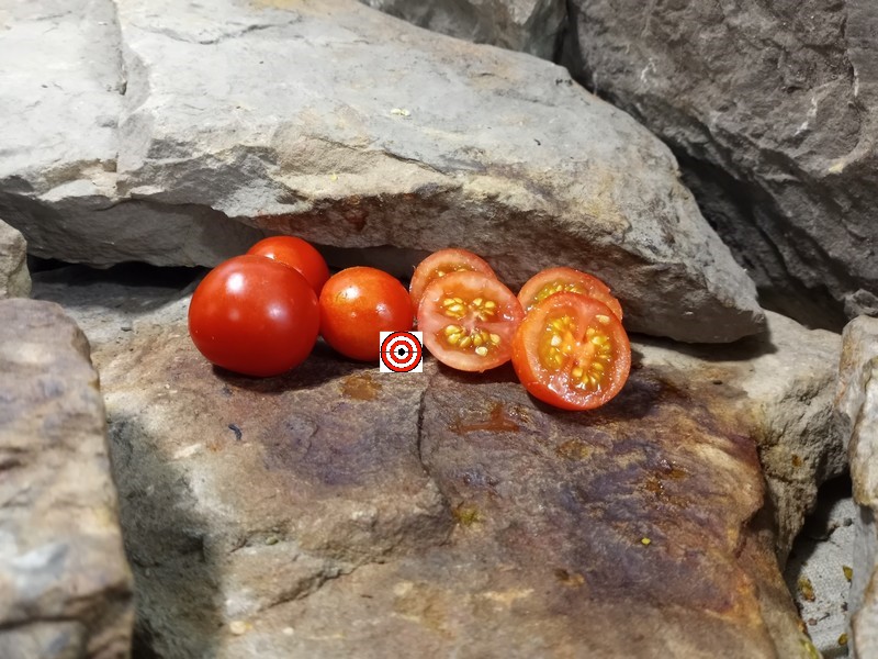 The Best Snacking tomato Gardeners Delight Tomato Seeds Available Here.