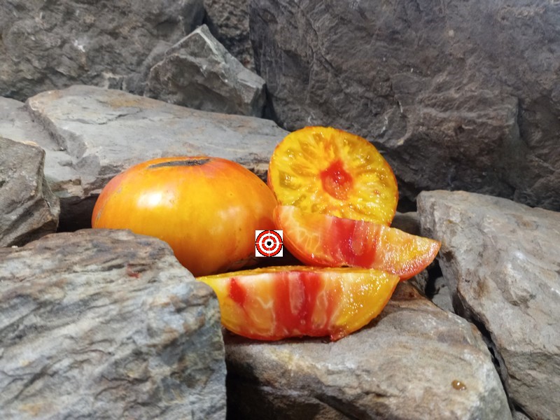 A Popular Bicolored Tomato Jewel Tone Tomato Seeds For Sale Here.