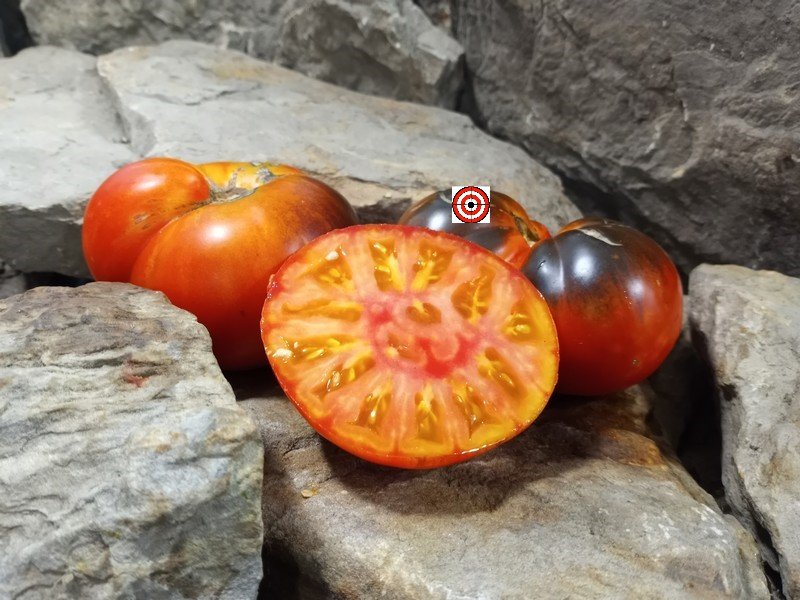 A Popular Bicolored Tomato King Blue Tomato Seeds For Sale Here.