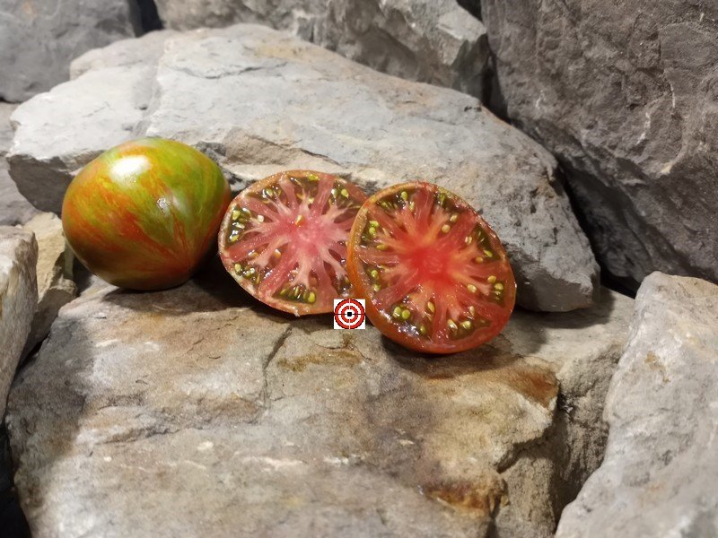 A Popular Dean Slater Tomato Heart of 007 Tomato Seeds For Sale Here.