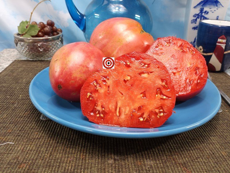 A Popular Heirloom Tomato Heart Of Italy Tomato Seeds For Sale Here.