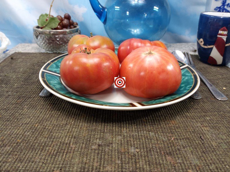 A Popular Heirloom Tomato Koans Big Stock Pink Tomato Seeds For Sale Here