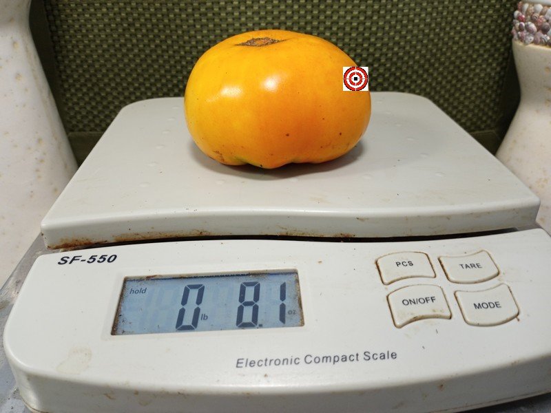 A Popular Large Tomato Kentucky Beefsteak Tomato Seeds For Sale Here.