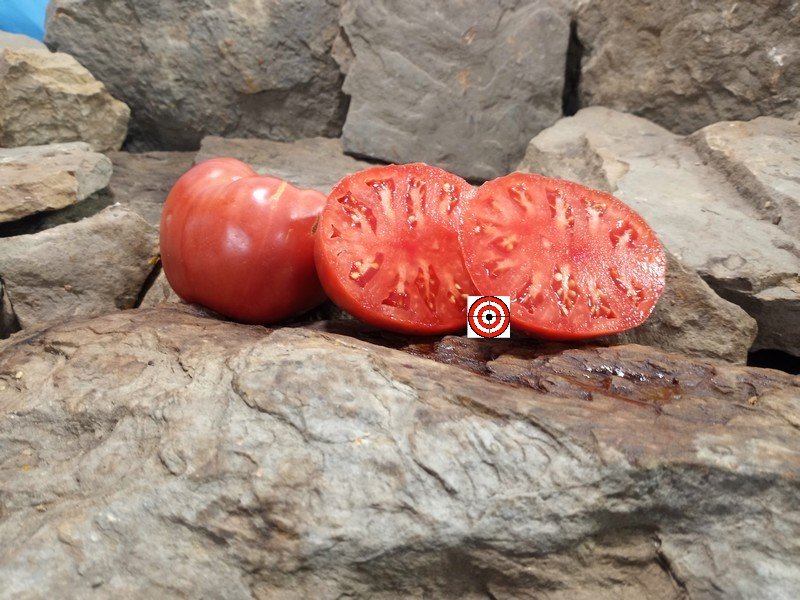 A Popular Pink Tomato Judys Good Heart Tomato Seeds For Sale Here.