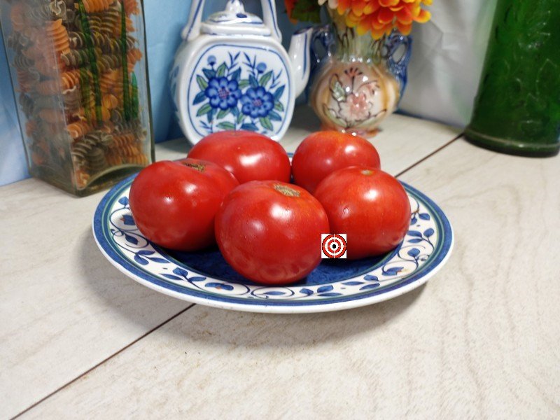 A Popular Red Tomato JTD 1887 Tomato Seeds For Sale Here.