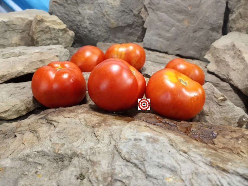 A Popular Red Tomato Just Plain Good Tomato Seeds For Sale Here.