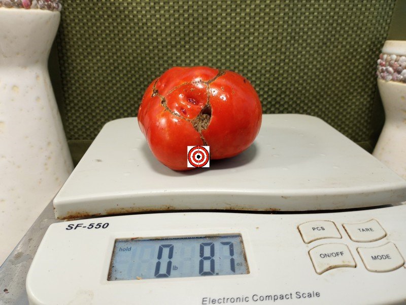 A Popular Red Tomato King Of Giants Tomato Seeds For Sale Here.