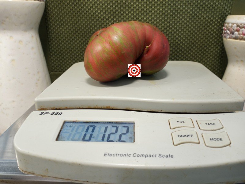 A Popular Sandwich Tomato Italian Stripes Tomato Seeds For Sale Here.