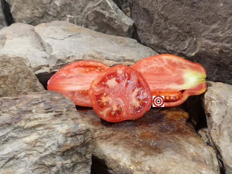A Popular Sauce Tomato Killo Nelle Tomato Seeds For Sale Here.