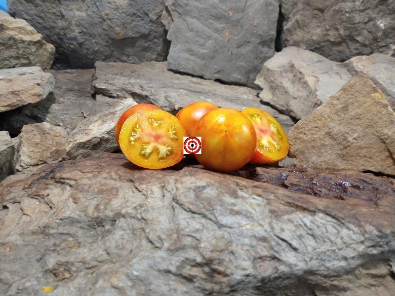 A Popular Snacking Tomato Isis Brandy Tomato Seeds For Sale Here.